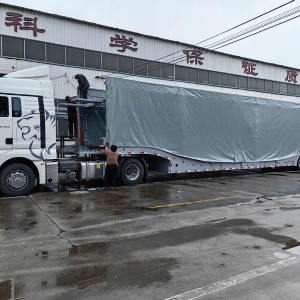 中亞五國(guó)歐式風(fēng)格轎運(yùn)車籠車