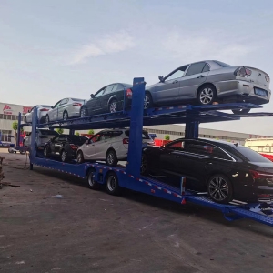 中亞五國歐式風格轎運車籠車