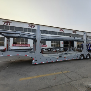 中亞五國歐式風格轎運車籠車