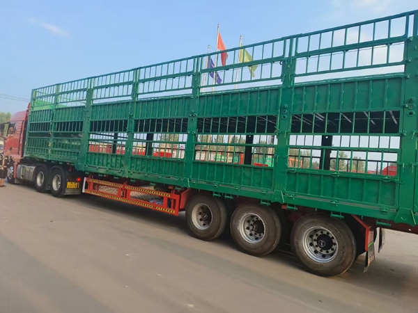 畜牧運(yùn)輸半掛車(chē)
